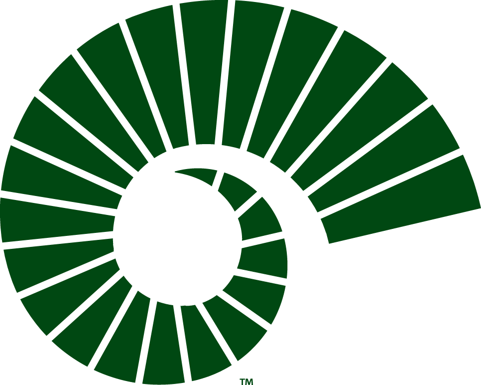 Colorado State Rams 2015-Pres Alternate Logo v2 iron on transfers for fabric